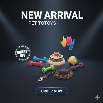 Pet Toy