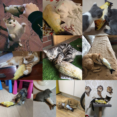 No-Catnip Electric Jumping Fish