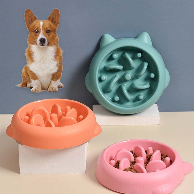Slow Feeder Pet Bowl