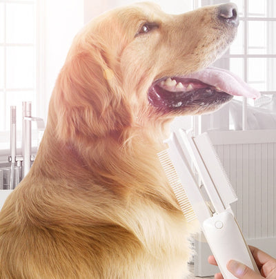 Pet Hair Removal & Grooming Brush
