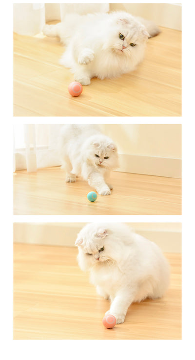 Automatic Cat Rolling Ball Toy