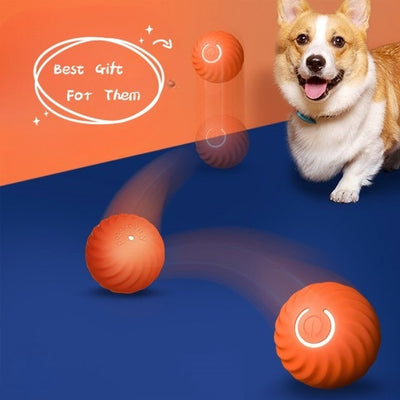 Dog Chew Ball – Durable Puppy Toy