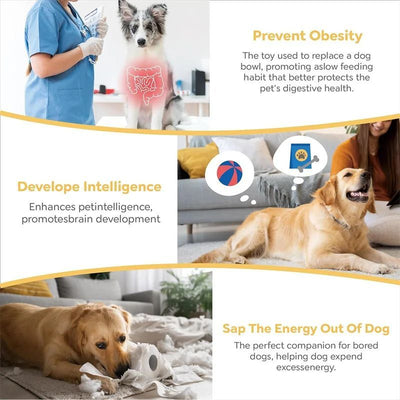 3-Layer Puzzle Slow Bowl