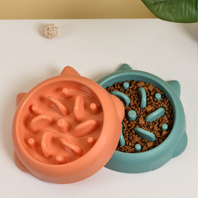 Slow Feeder Pet Bowl
