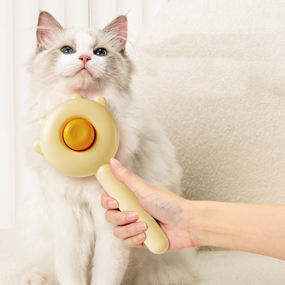 Pet Massage Hair Remover Brush